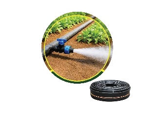 Sub Main Pipe